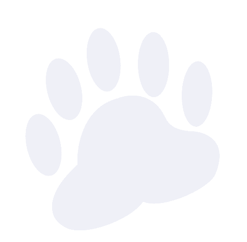 Decorative paw-shaped background graphic